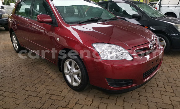 Buy Used Toyota Runx Red Car in Ezulwini in Hhohho Buy Used Toyota Runx Red Car in Ezulwini in Hhohho