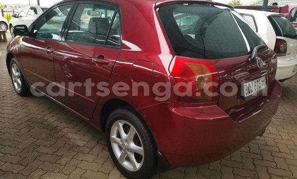 Buy Used Toyota Runx Red Car in Ezulwini in Hhohho Buy Used Toyota Runx Red Car in Ezulwini in Hhohho