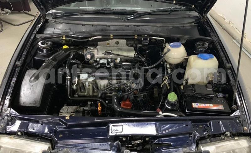 Big with watermark volkswagen polo lubombo big bend 10474