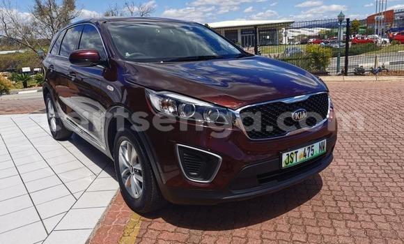 Acheter Occasion Voiture Kia Sportage Autre à Big Bend, Lubombo District Acheter Occasion Voiture Kia Sportage Autre à Big Bend, Lubombo District