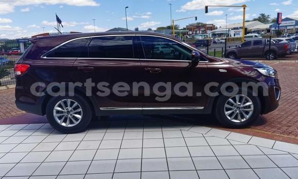 Acheter Occasion Voiture Kia Sportage Autre à Big Bend, Lubombo District Acheter Occasion Voiture Kia Sportage Autre à Big Bend, Lubombo District