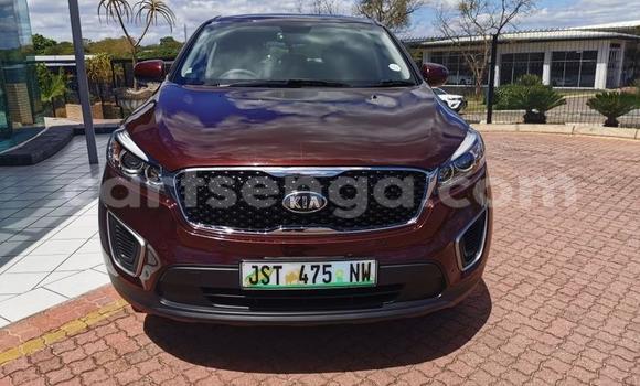 Acheter Occasion Voiture Kia Sportage Autre à Big Bend, Lubombo District Acheter Occasion Voiture Kia Sportage Autre à Big Bend, Lubombo District