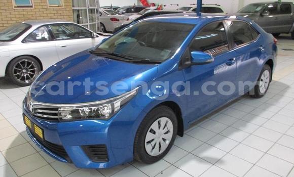 Buy Used Toyota Corolla Blue Car in Mbabane in Manzini Buy Used Toyota Corolla Blue Car in Mbabane in Manzini
