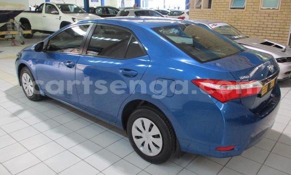 Buy Used Toyota Corolla Blue Car in Mbabane in Manzini Buy Used Toyota Corolla Blue Car in Mbabane in Manzini