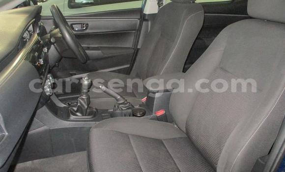 Buy Used Toyota Corolla Blue Car in Mbabane in Manzini Buy Used Toyota Corolla Blue Car in Mbabane in Manzini