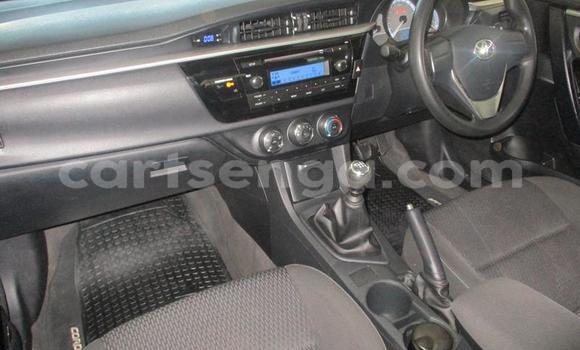 Buy Used Toyota Corolla Blue Car in Mbabane in Manzini Buy Used Toyota Corolla Blue Car in Mbabane in Manzini