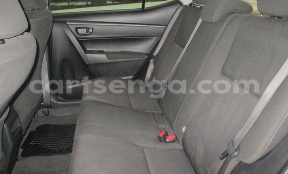 Buy Used Toyota Corolla Blue Car in Mbabane in Manzini Buy Used Toyota Corolla Blue Car in Mbabane in Manzini