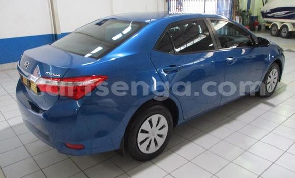 Buy Used Toyota Corolla Blue Car in Mbabane in Manzini Buy Used Toyota Corolla Blue Car in Mbabane in Manzini