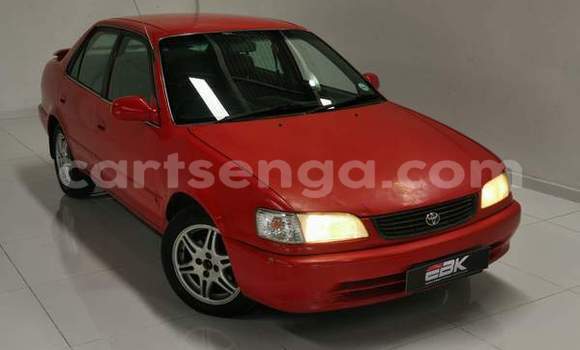Acheter Occasion Voiture Toyota Corolla Rouge à Bulembu, Hhohho Acheter Occasion Voiture Toyota Corolla Rouge à Bulembu, Hhohho