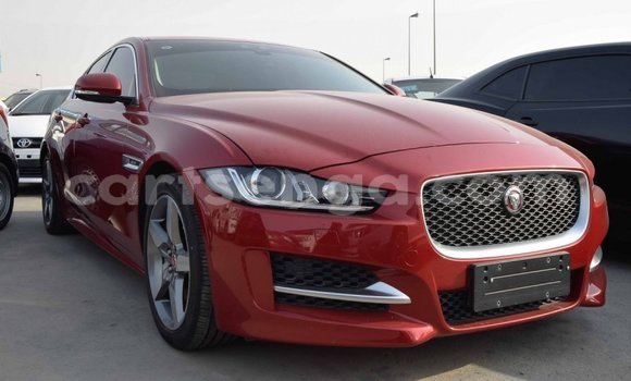 Buy Import Jaguar XE Red Car in Import - Dubai in Hhohho