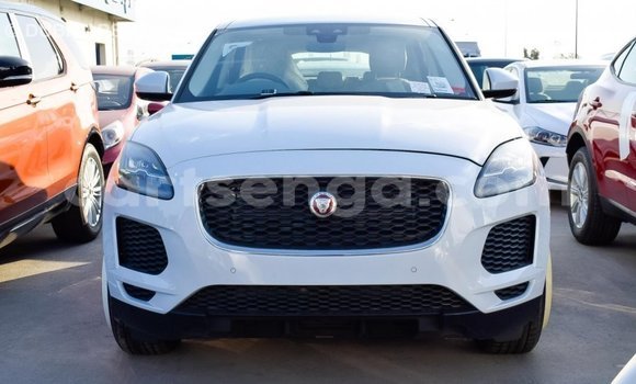 Buy Import Jaguar E-Pace White Car in Import - Dubai in Hhohho Buy Import Jaguar E-Pace White Car in Import - Dubai in Hhohho