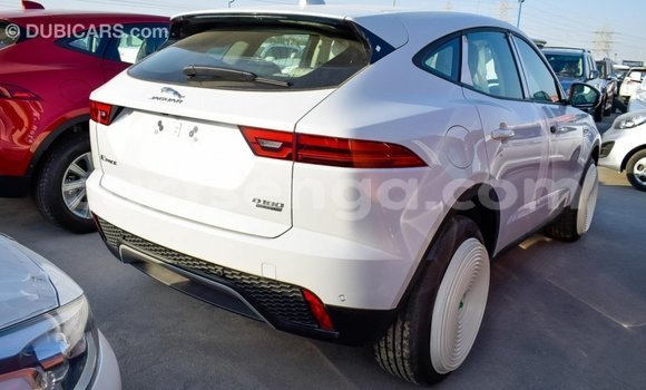 Buy Import Jaguar E-Pace White Car in Import - Dubai in Hhohho Buy Import Jaguar E-Pace White Car in Import - Dubai in Hhohho