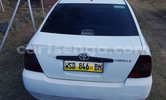 Buy Used Toyota Corolla White Car in Manzini in Manzini