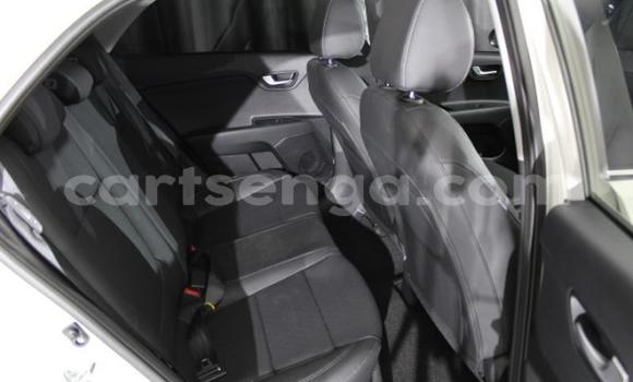 Buy Used Kia Rio White Car in Big Bend in Lubombo Buy Used Kia Rio White Car in Big Bend in Lubombo