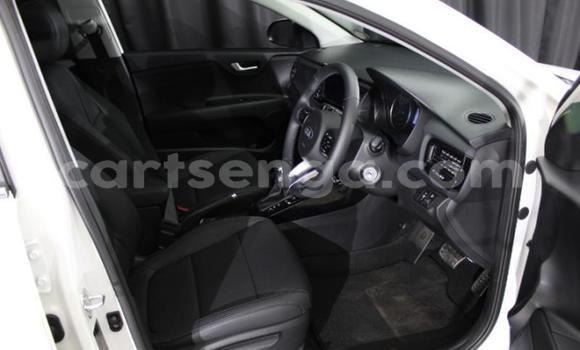 Buy Used Kia Rio White Car in Big Bend in Lubombo Buy Used Kia Rio White Car in Big Bend in Lubombo