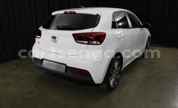 Buy Used Kia Rio White Car in Big Bend in Lubombo Buy Used Kia Rio White Car in Big Bend in Lubombo