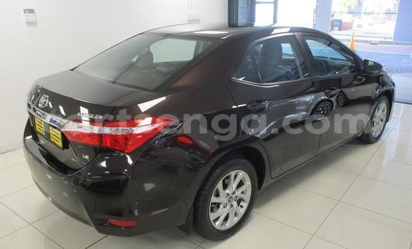 Nunua Ilio tumika Toyota Corolla Black Gari ndani ya Manzini nchini Manzini Nunua Ilio tumika Toyota Corolla Black Gari ndani ya Manzini nchini Manzini