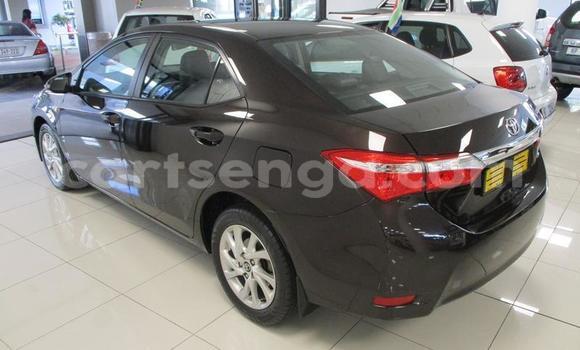 Nunua Ilio tumika Toyota Corolla Black Gari ndani ya Manzini nchini Manzini Nunua Ilio tumika Toyota Corolla Black Gari ndani ya Manzini nchini Manzini