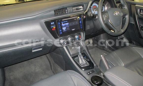 Nunua Ilio tumika Toyota Corolla Black Gari ndani ya Manzini nchini Manzini Nunua Ilio tumika Toyota Corolla Black Gari ndani ya Manzini nchini Manzini