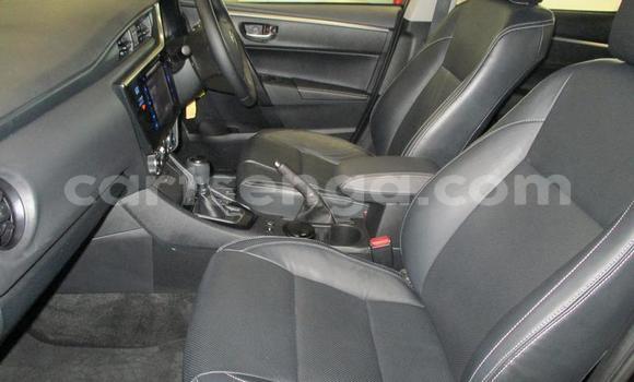 Nunua Ilio tumika Toyota Corolla Black Gari ndani ya Manzini nchini Manzini Nunua Ilio tumika Toyota Corolla Black Gari ndani ya Manzini nchini Manzini