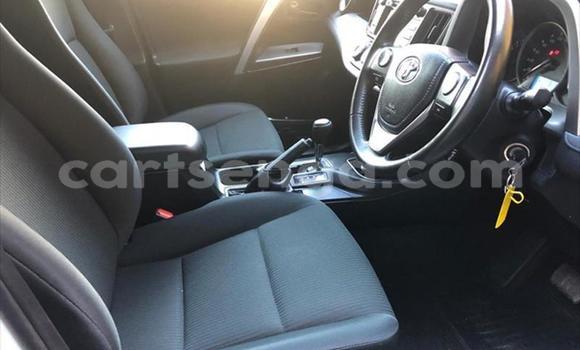 Buy Used Toyota RAV4 Silver Car in Big Bend in Lubombo District Buy Used Toyota RAV4 Silver Car in Big Bend in Lubombo District