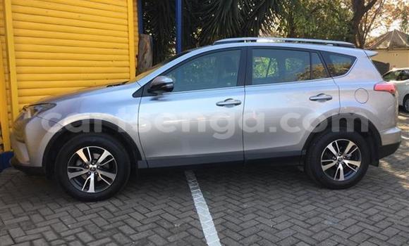 Buy Used Toyota RAV4 Silver Car in Big Bend in Lubombo District Buy Used Toyota RAV4 Silver Car in Big Bend in Lubombo District