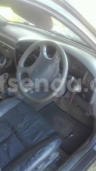 Big with watermark 35806839 205018060327799 8332373701135695872 n