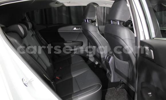 Acheter Occasion Voiture Kia Sportage Blanc à Mbabane, Manzini Acheter Occasion Voiture Kia Sportage Blanc à Mbabane, Manzini