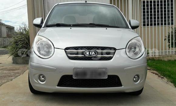 Buy Used Kia Picanto Silver Car in Ezulwini in Hhohho Buy Used Kia Picanto Silver Car in Ezulwini in Hhohho