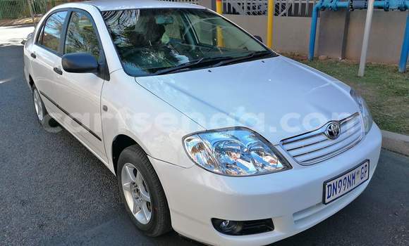 Nunua Ilio tumika Toyota Corolla White Gari ndani ya Ezulwini nchini Hhohho Nunua Ilio tumika Toyota Corolla White Gari ndani ya Ezulwini nchini Hhohho