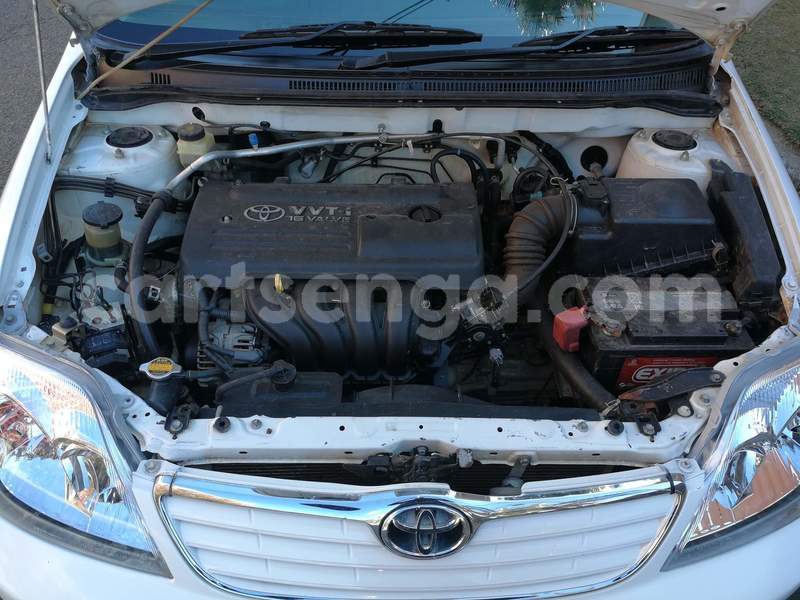 Big with watermark toyota corolla hhohho ezulwini 11192